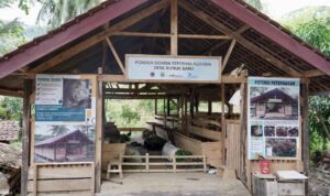 WhatsApp Image 2025-11-03 at 19.56.40_11zon