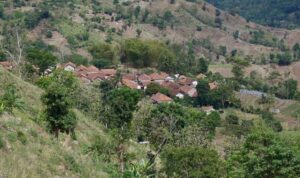 WhatsApp Image 2025-11-08 at 23.02.58 (1)