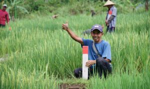 WhatsApp Image 2026-03-20 at 15.12.57_11zon